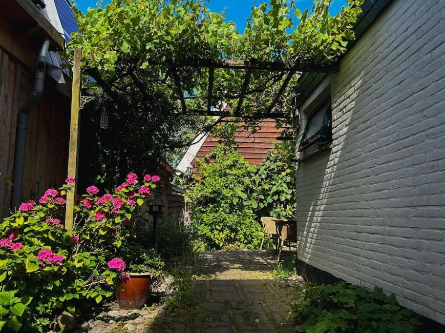 Onder De Kastanje! Villa Koedijk ภายนอก รูปภาพ
